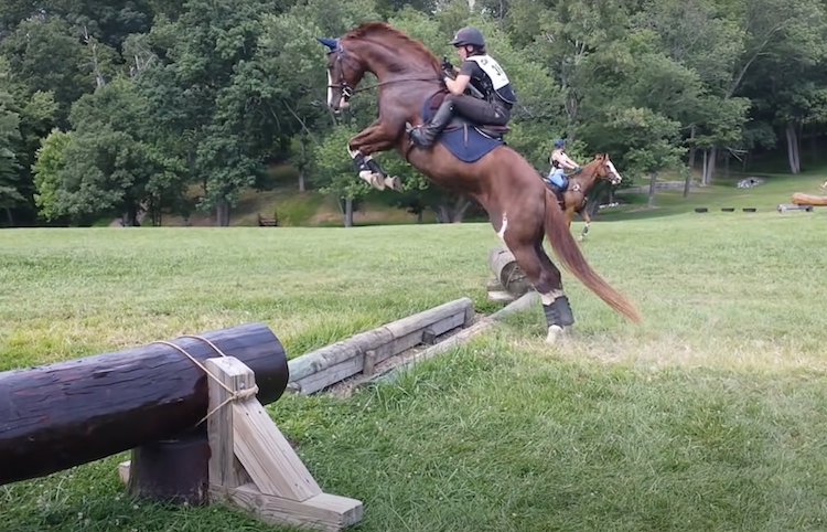Horse jumping incredibly high over an almost non-existent barrier